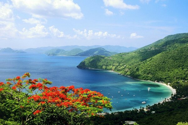 Ilhas tropicais com belas paisagens