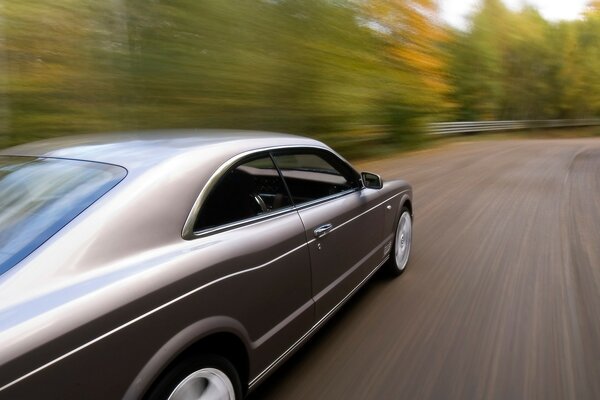 Fotos de Grey Bentley em movimento