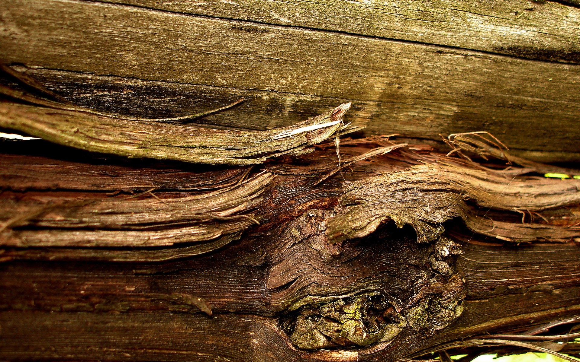 madeira de madeira log desktop velho textura escuro madeira tecido áspero natureza rústico carvalho casca sujo bordo seco close-up