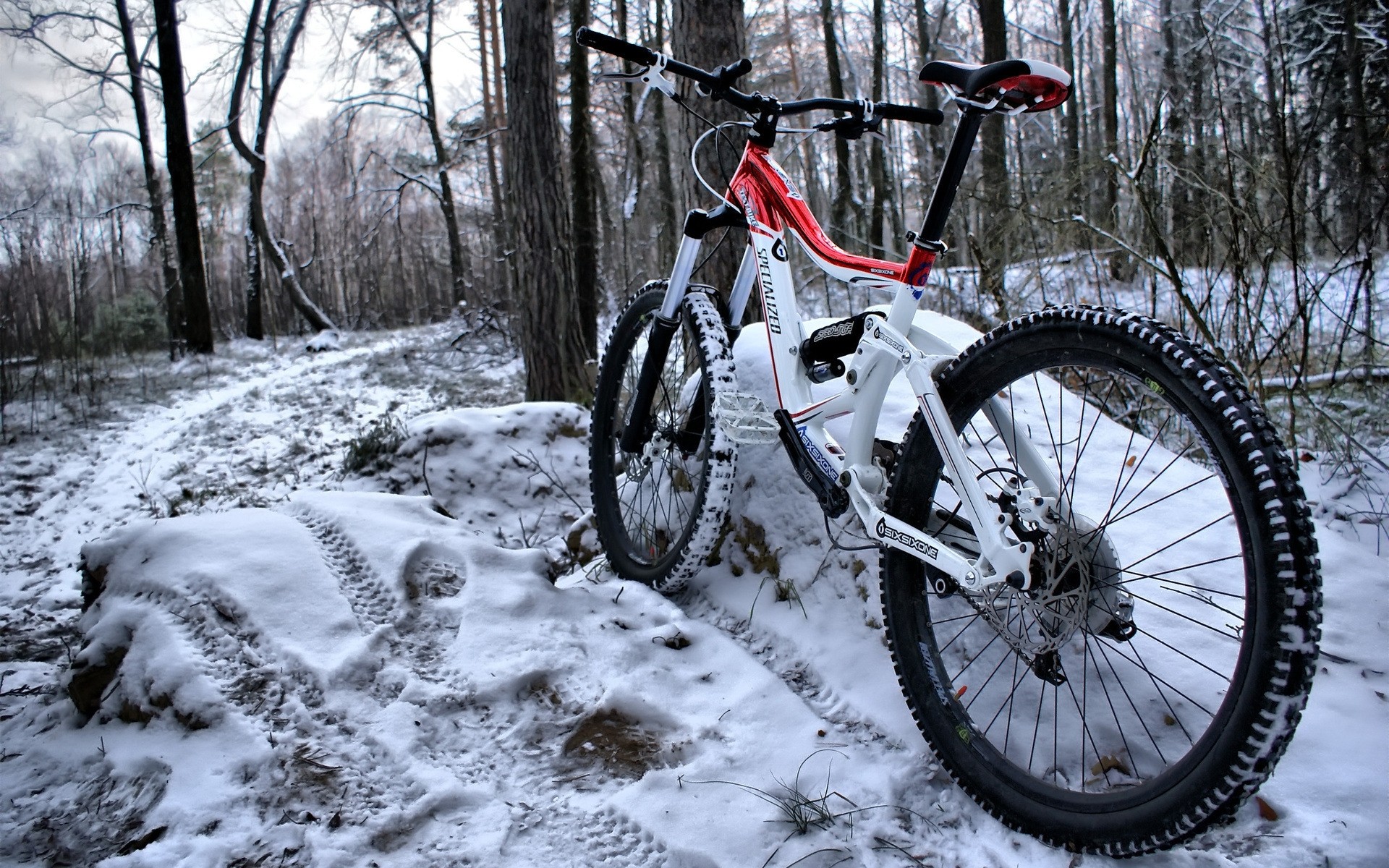 rodas bicicleta inverno neve frio madeira natureza ao ar livre árvore geada aventura esporte estrada lazer motociclista trilha férias temporada viagem floresta