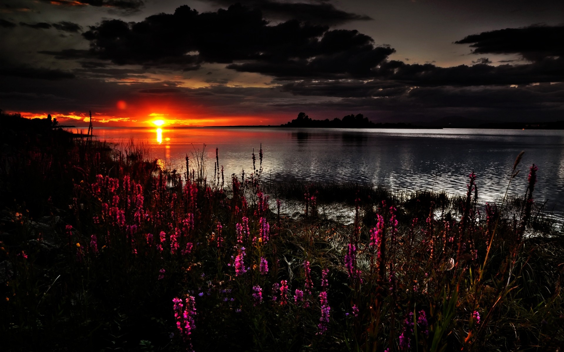 paisagens pôr do sol amanhecer água crepúsculo noite paisagem ao ar livre sol lago luz céu natureza flores nuvens secenery