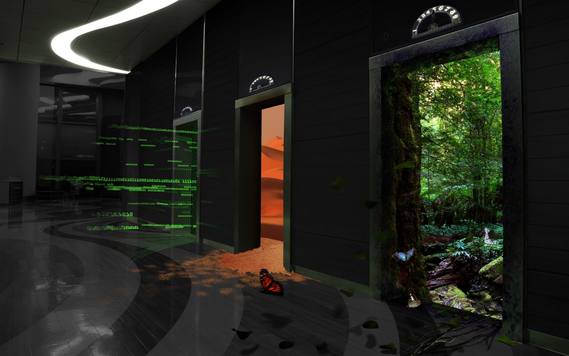 luz paisagem casa viagens natureza arte techno borboleta fundo