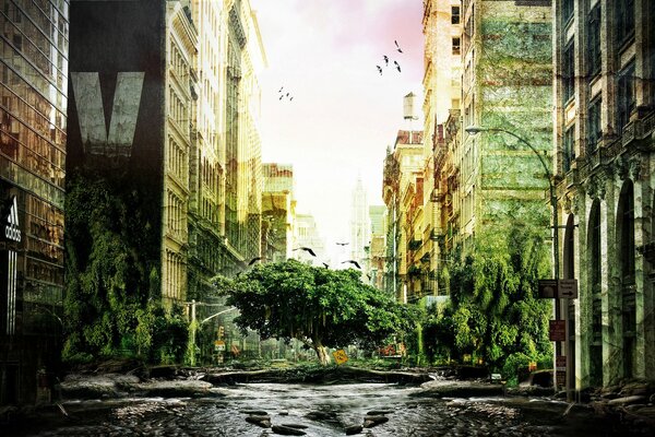Arquitetura da cidade velha na foto