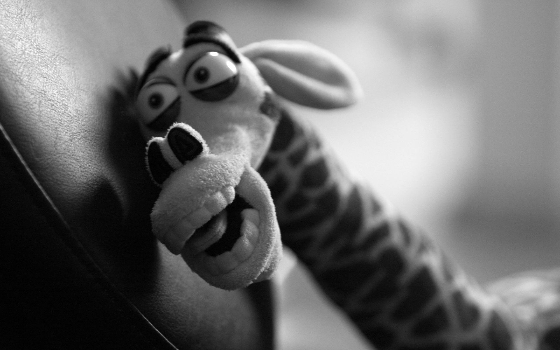 monocromático homem retrato adulto solteiro menina preto e branco mulher pernas dof nude mãos