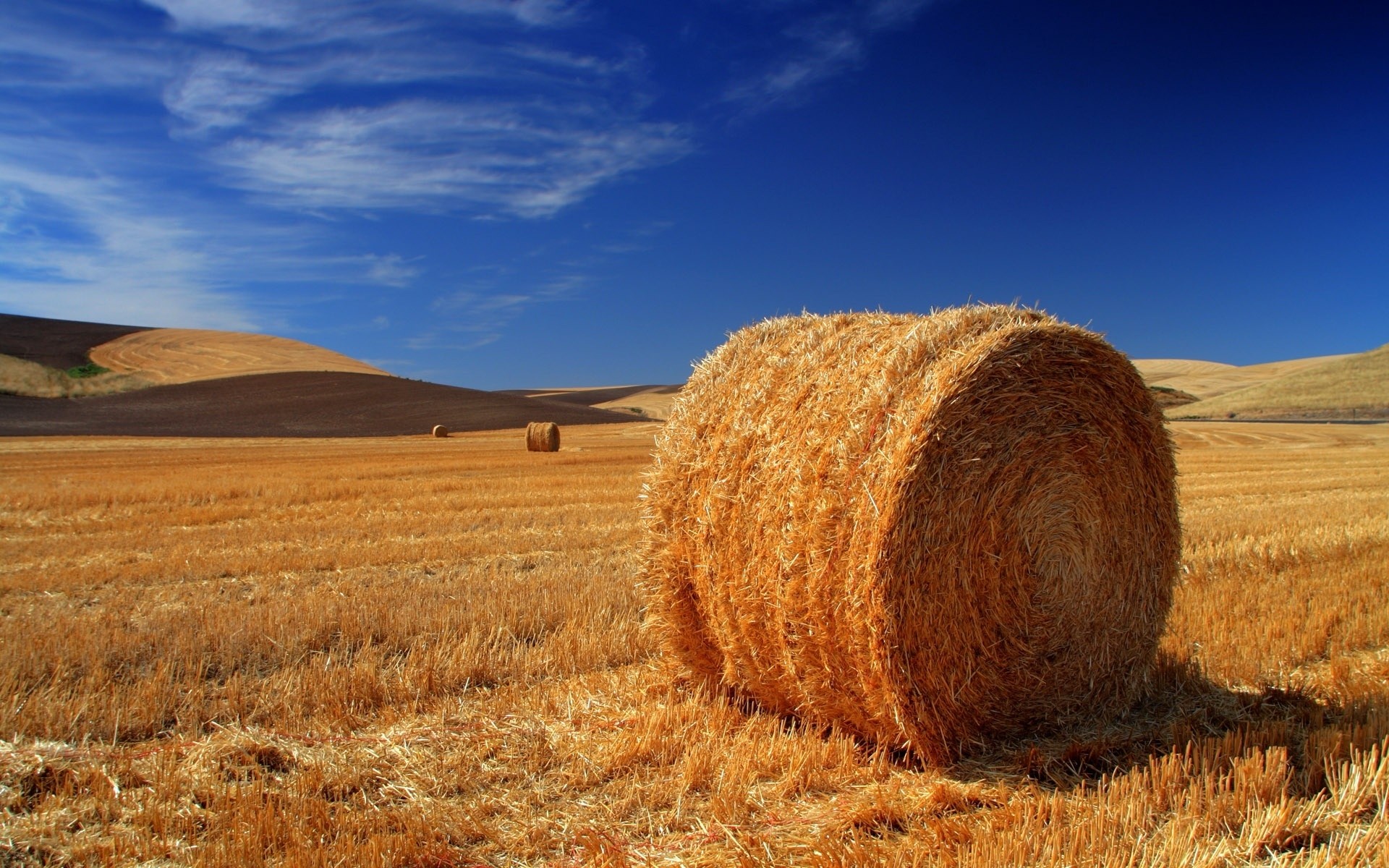 paisagens trigo feno palha rural pasto céu paisagem agricultura campo seco cereais ao ar livre centeio natureza fazenda campo milho colheita terras cultivadas paisagens verão