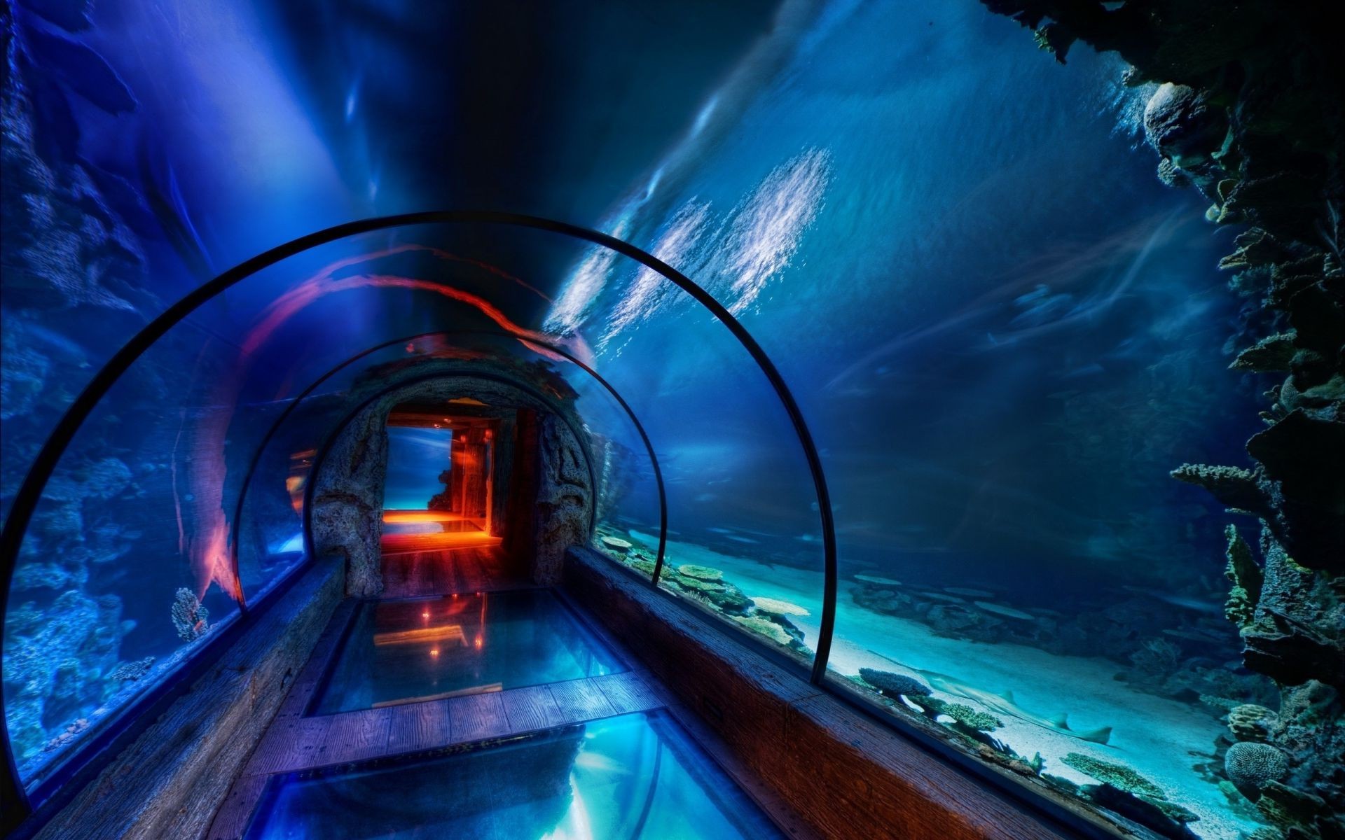 túnel luz borrão viagens sistema de transporte tráfego noite tubo