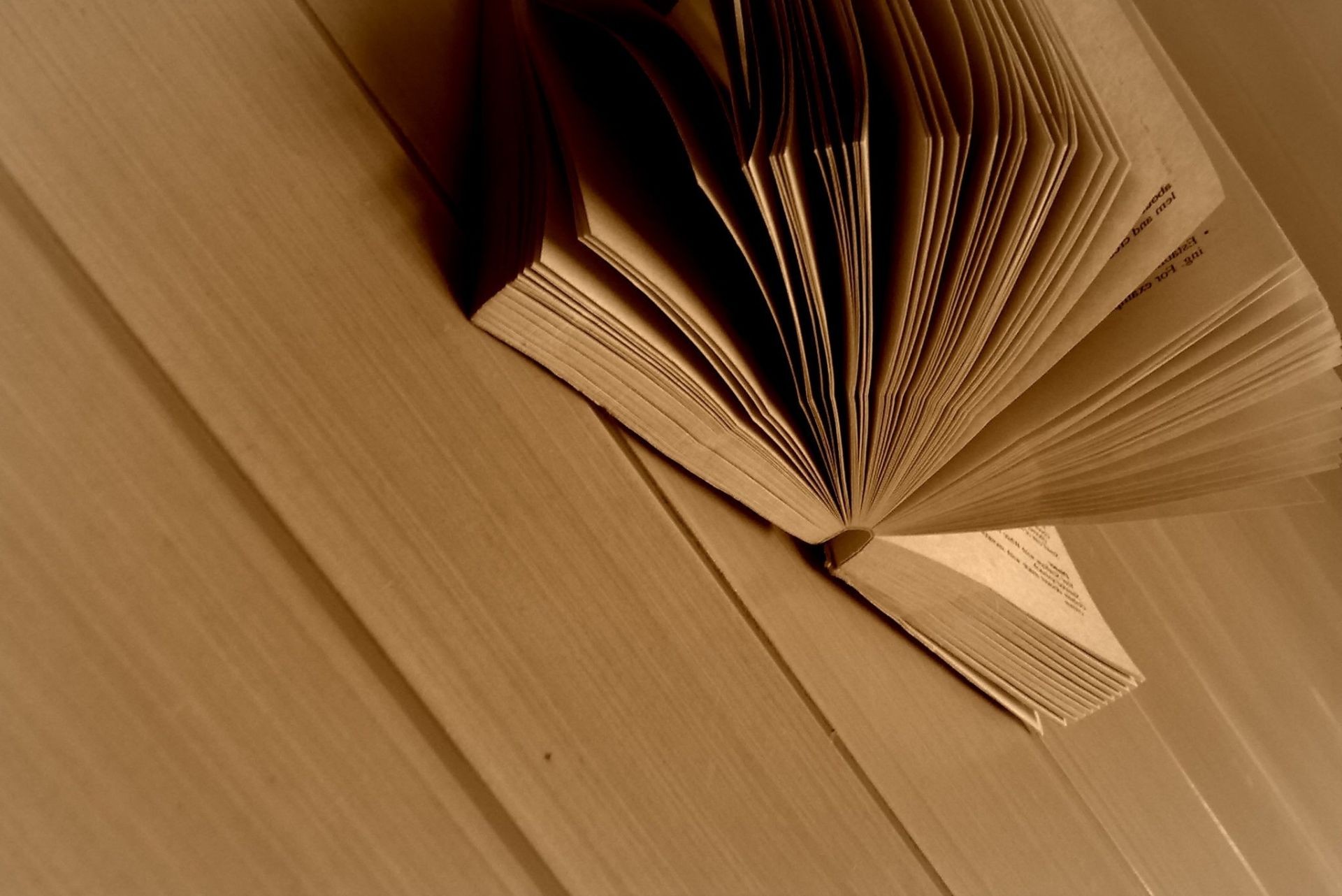 madeiras mobília literatura biblioteca livro