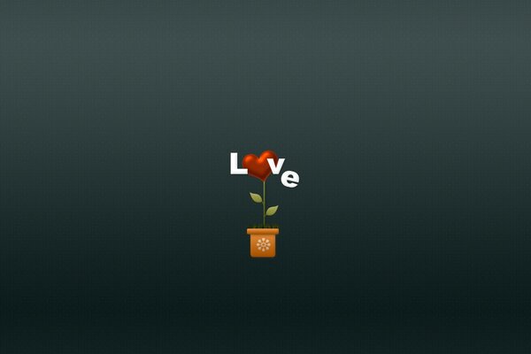 Love, drawing, vaso de plantas