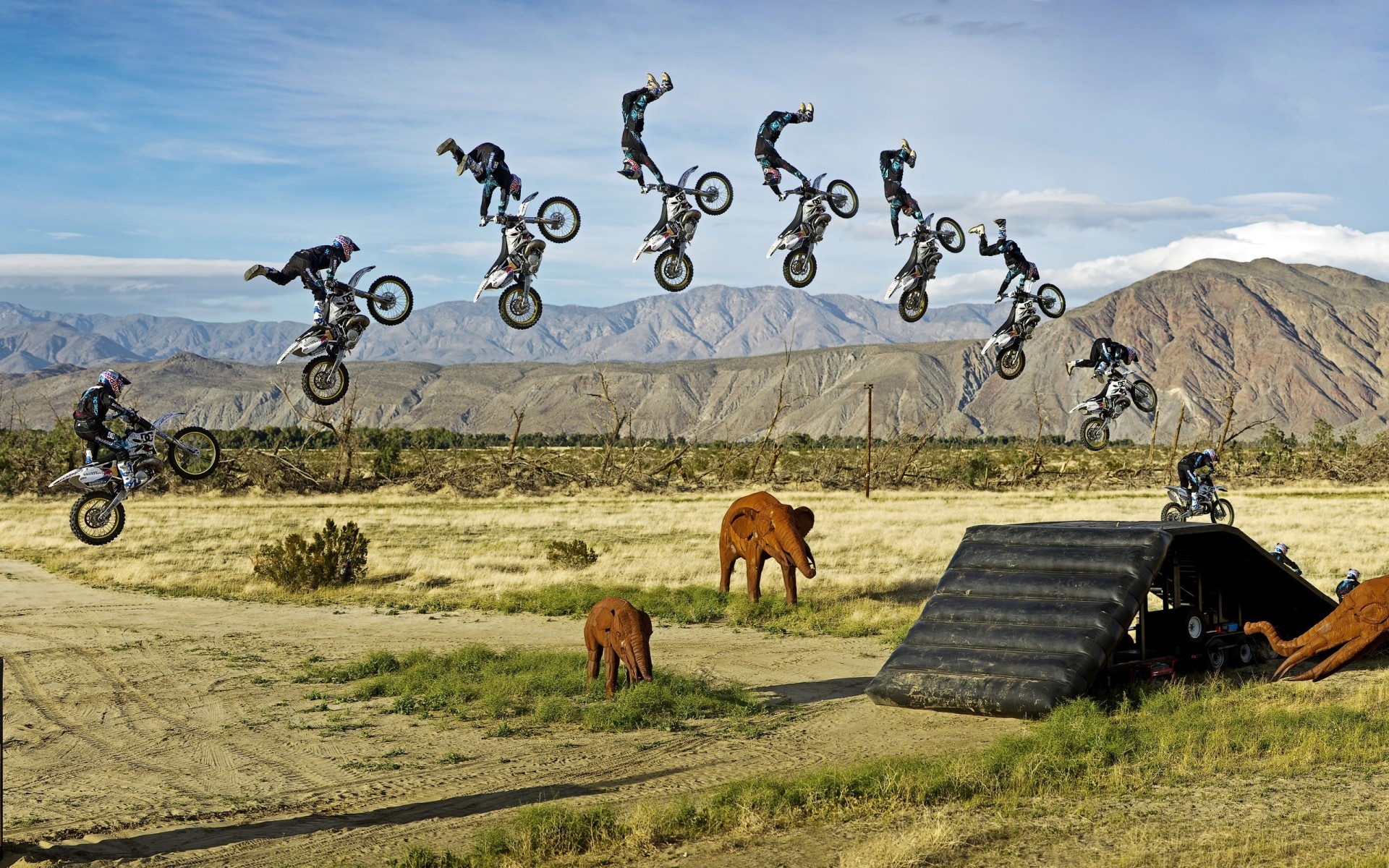 esportes grama natureza paisagem ao ar livre céu verão viajar campo rural campo selva elefante brinquedos estátuas motocicleta