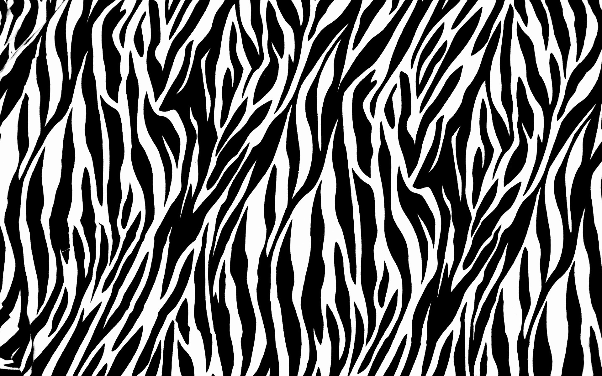 padrão zebra abstrato sem emenda repetir pele textura design têxtil tecido papel de parede gráfico desktop fundo listra ilustração arte camuflagem repetição impressão preto branco
