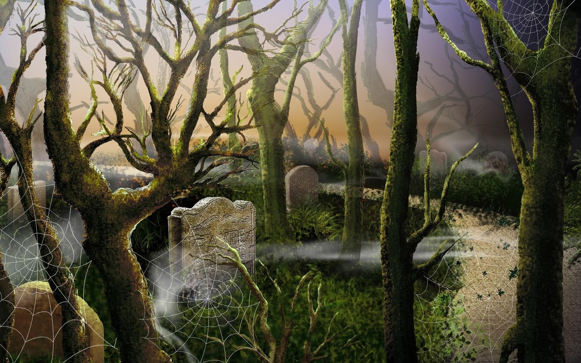 dia das bruxas árvore madeira natureza paisagem outono musgo ao ar livre folha ramo parque flora amanhecer água luz névoa ambiente