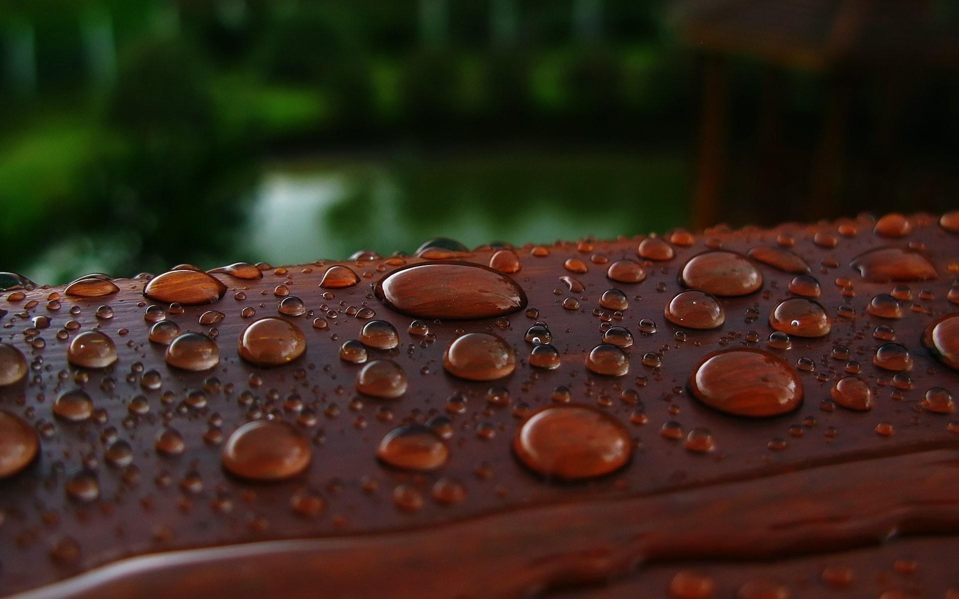 chuva gota molhado orvalho close-up comida reflexão natureza textura desktop gotas cor madeira água marrom