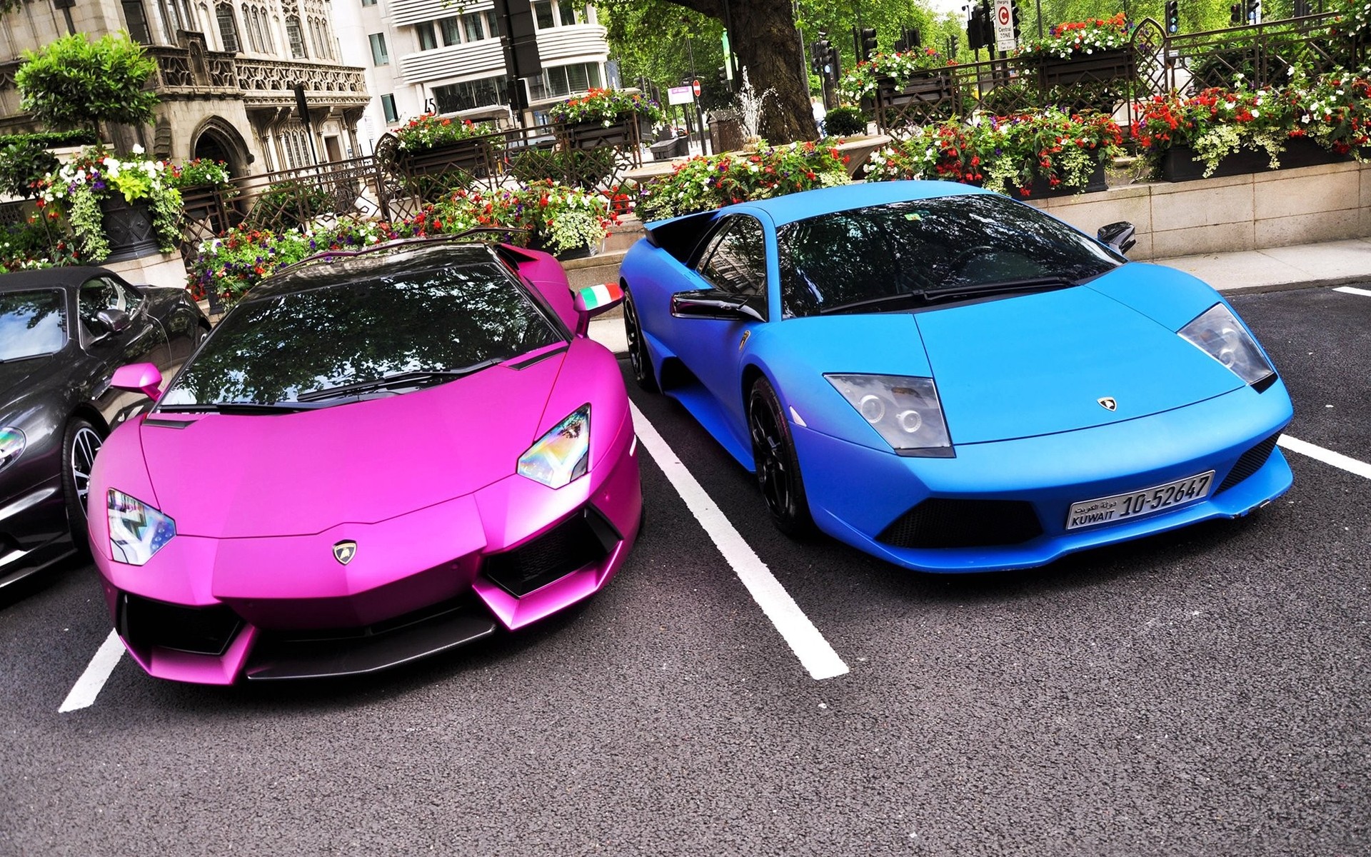 lamborghini carro carro luxo automóvel sistema de transporte calçada estrada rápido drive mostrar capô conversível