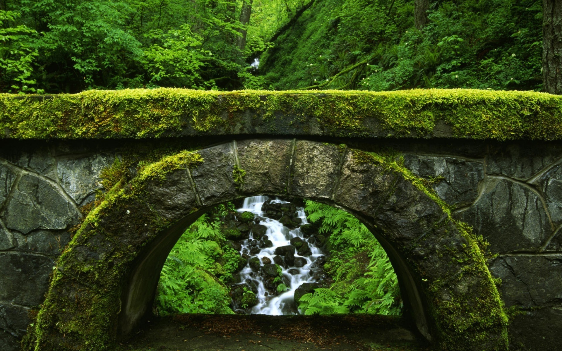 paisagens água viagens paisagem musgo folha cênica pedra ambiente natureza madeira rio ao ar livre árvore parque luz do dia fundo grama ponte
