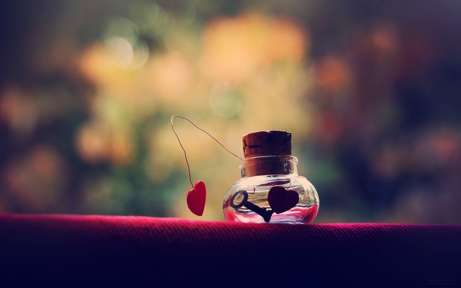 desfocagem vidro luz ainda vida flor cor natureza foco beber dof desktop amor coração vermelho arte ofício fundo