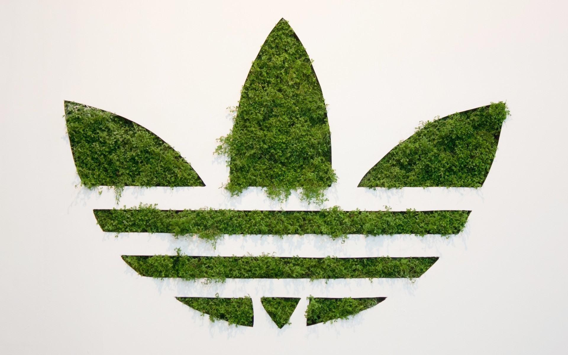árvore natureza folha grama flora desktop símbolo logotipo verde eco adidas marca adidas