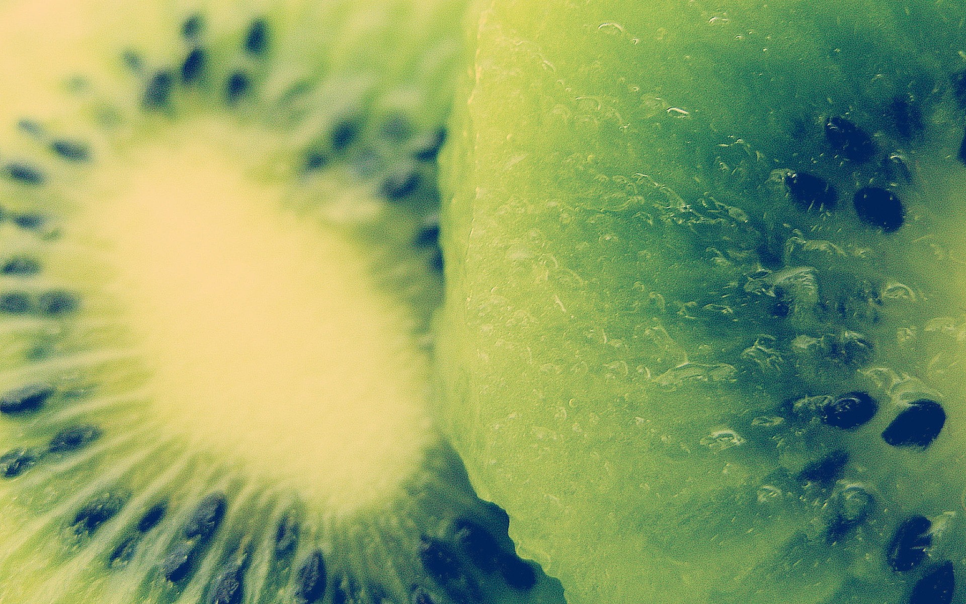 natureza cor área de trabalho abstrato subaquático comida verão kiwi macro frutas