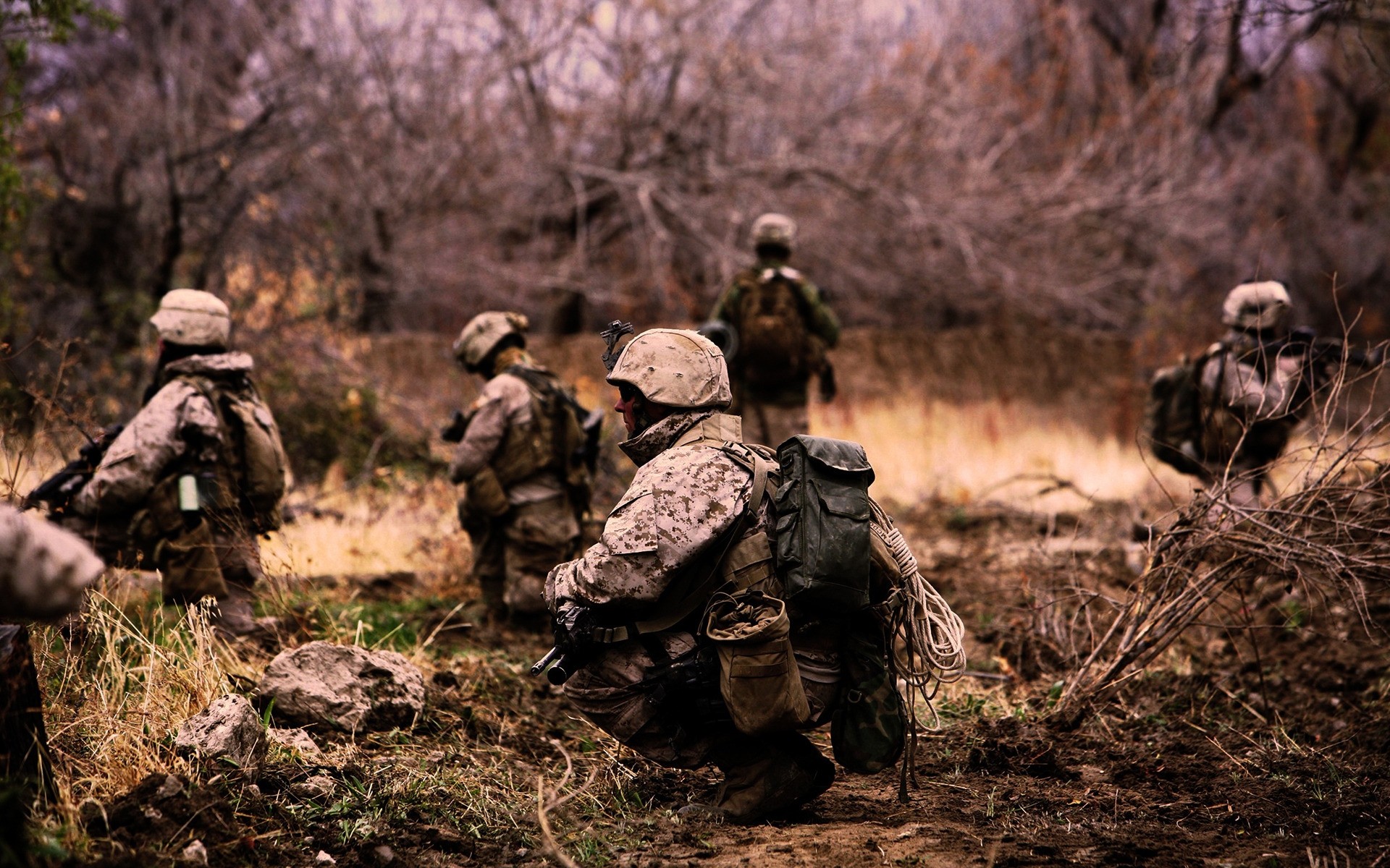 soldado exército militar guerra combate arma arma batalha rifle munição camuflagem madeira madeira adulto caçador homem soldados