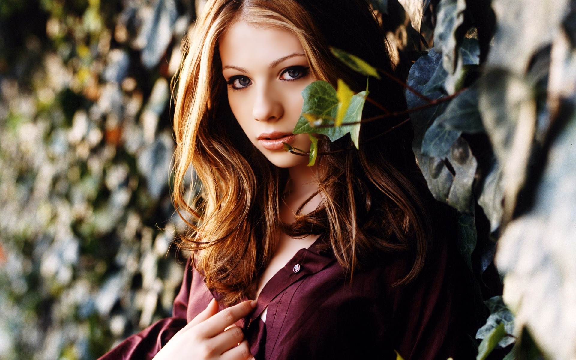 mulher menina moda modelo retrato bela ao ar livre natureza outono michelle trachtenberg celebridade celebridade celebridade