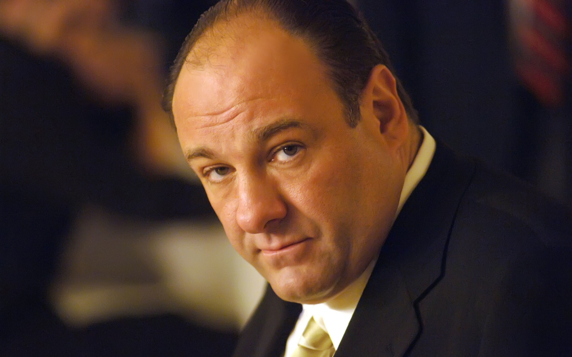 homens o negócio retrato líder homem solteiro político roupa adulto vestir administração james gandolfini