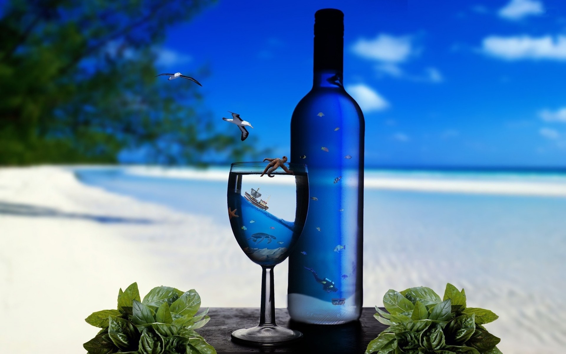 vinho vidro beber verão natureza garrafa oceano