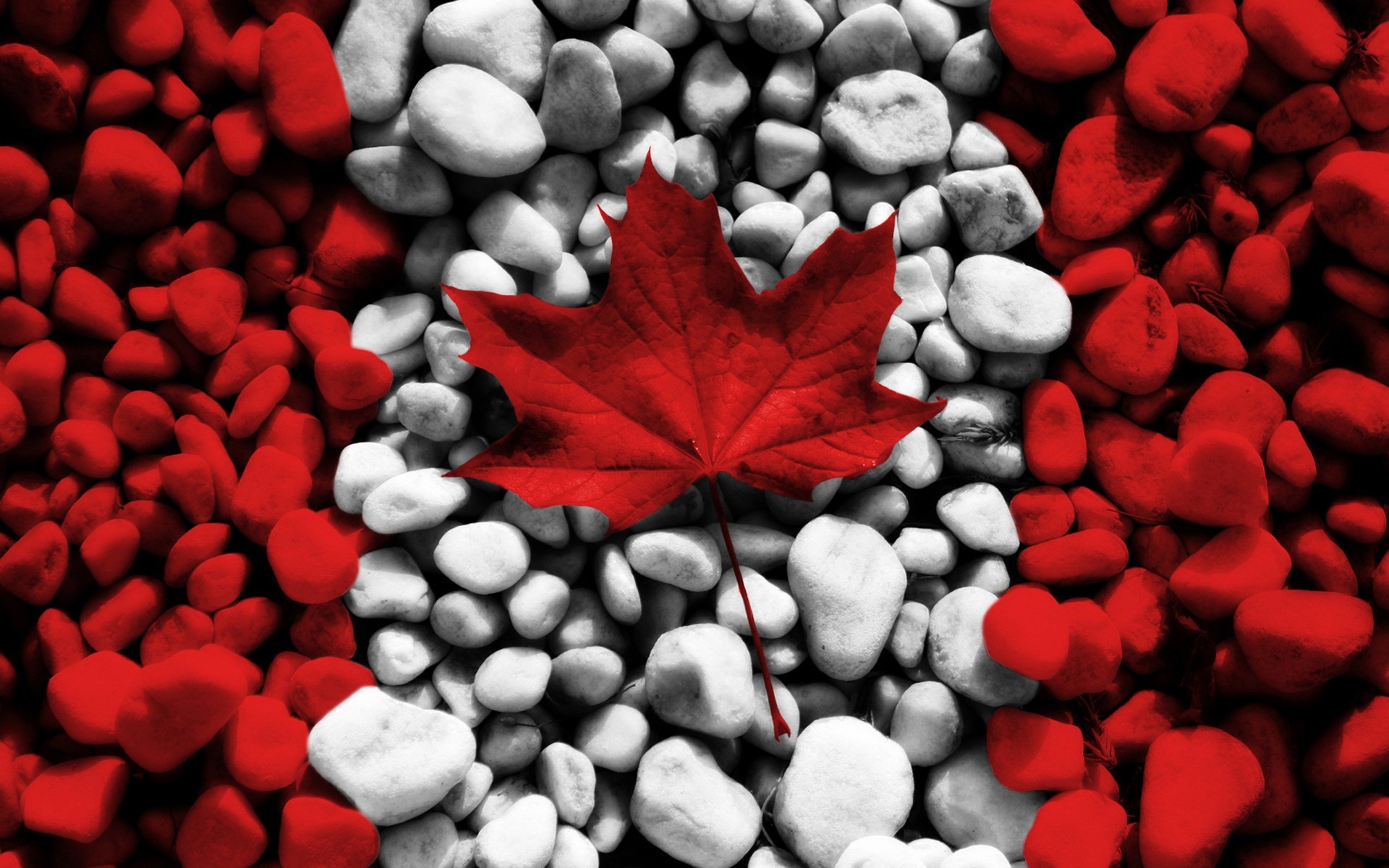 coração desktop rocha pedra amor forma close - up cascalho canadá bandeira