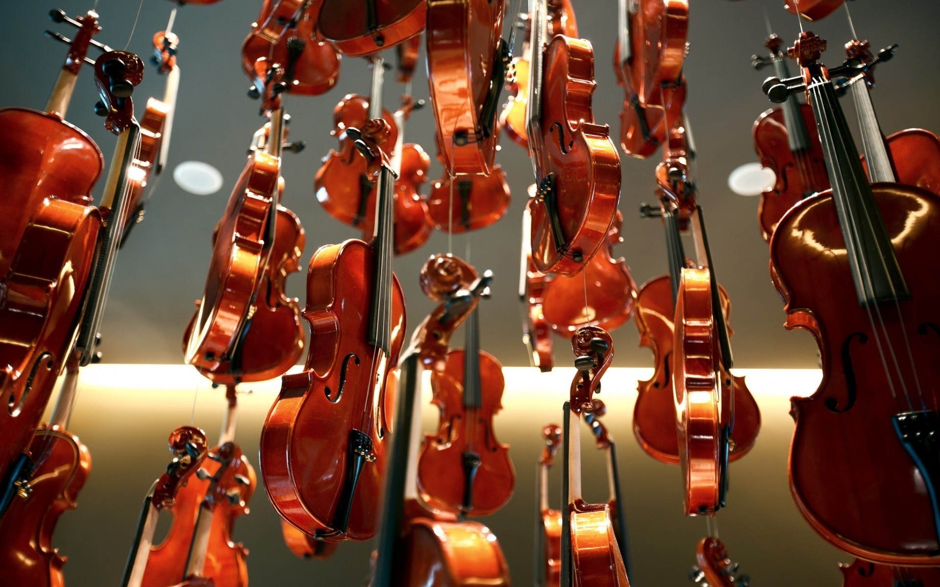 violino música clássico música clássica instrumento violoncelo concerto madeira instrumento de corda músico viola violinista desempenho interior som orquestra design de interiores arte artístico violinos instrumentos instrumentos musicais
