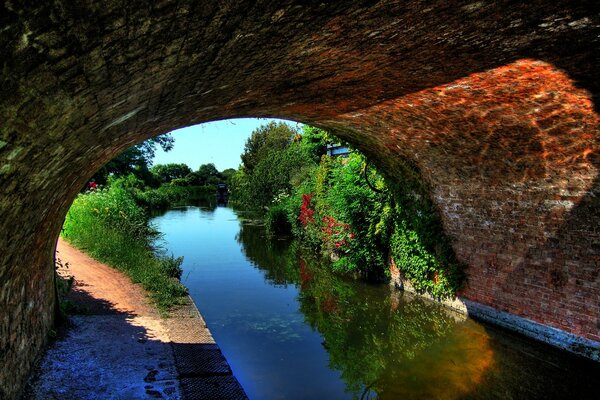 Rio Paisagem através do túnel verde e luz brilhante