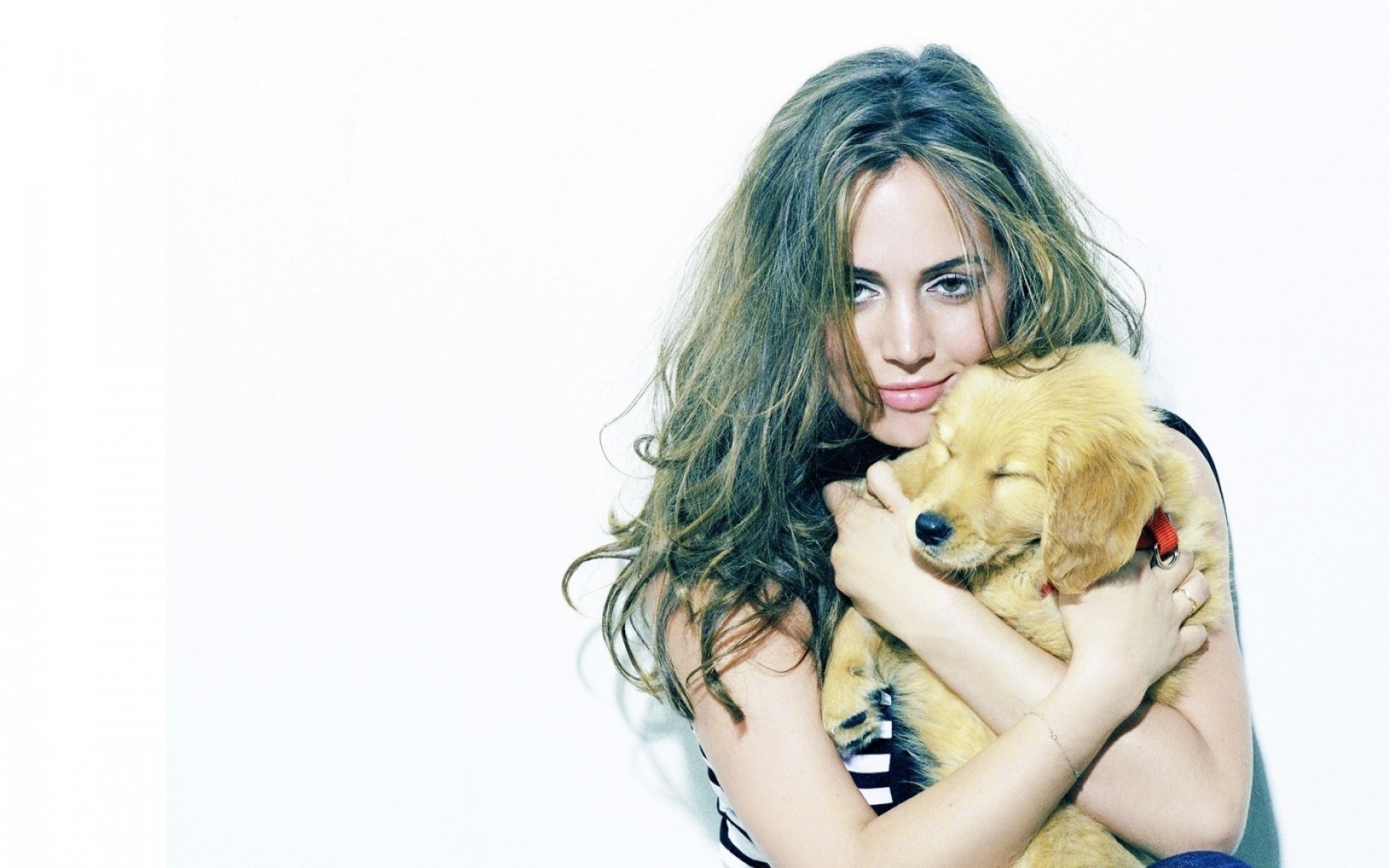 menina bela jovem mulher retrato fofa estúdio moda área de trabalho modelo bonita cabelo sexy atraente isolado glamour encaracolado filhote de cachorro atriz