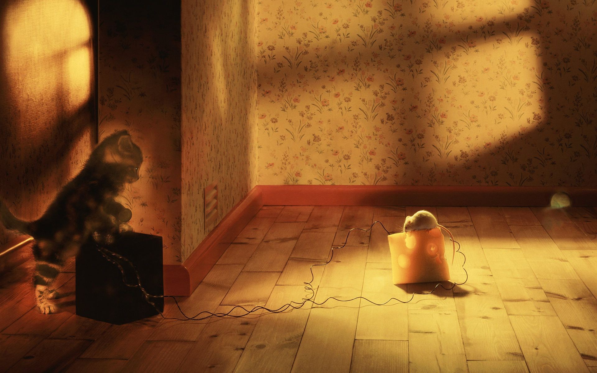 solteiro dentro de casa quarto adulto luz menina retrato nude mulher vestir parede