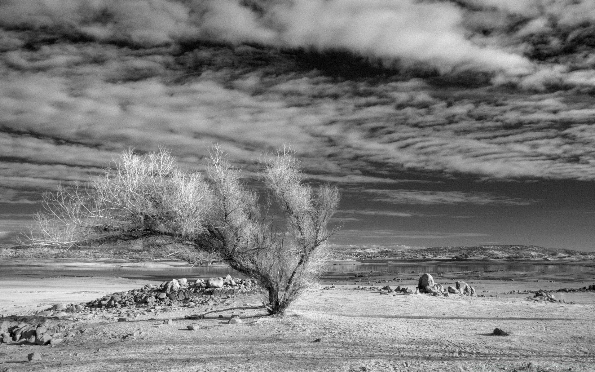 preto e branco paisagem água monocromático inverno natureza tempestade