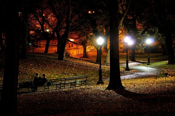 Parque na luz das lanternas e banco