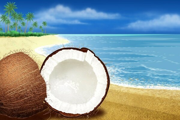 Clima de coco em uma praia tropical