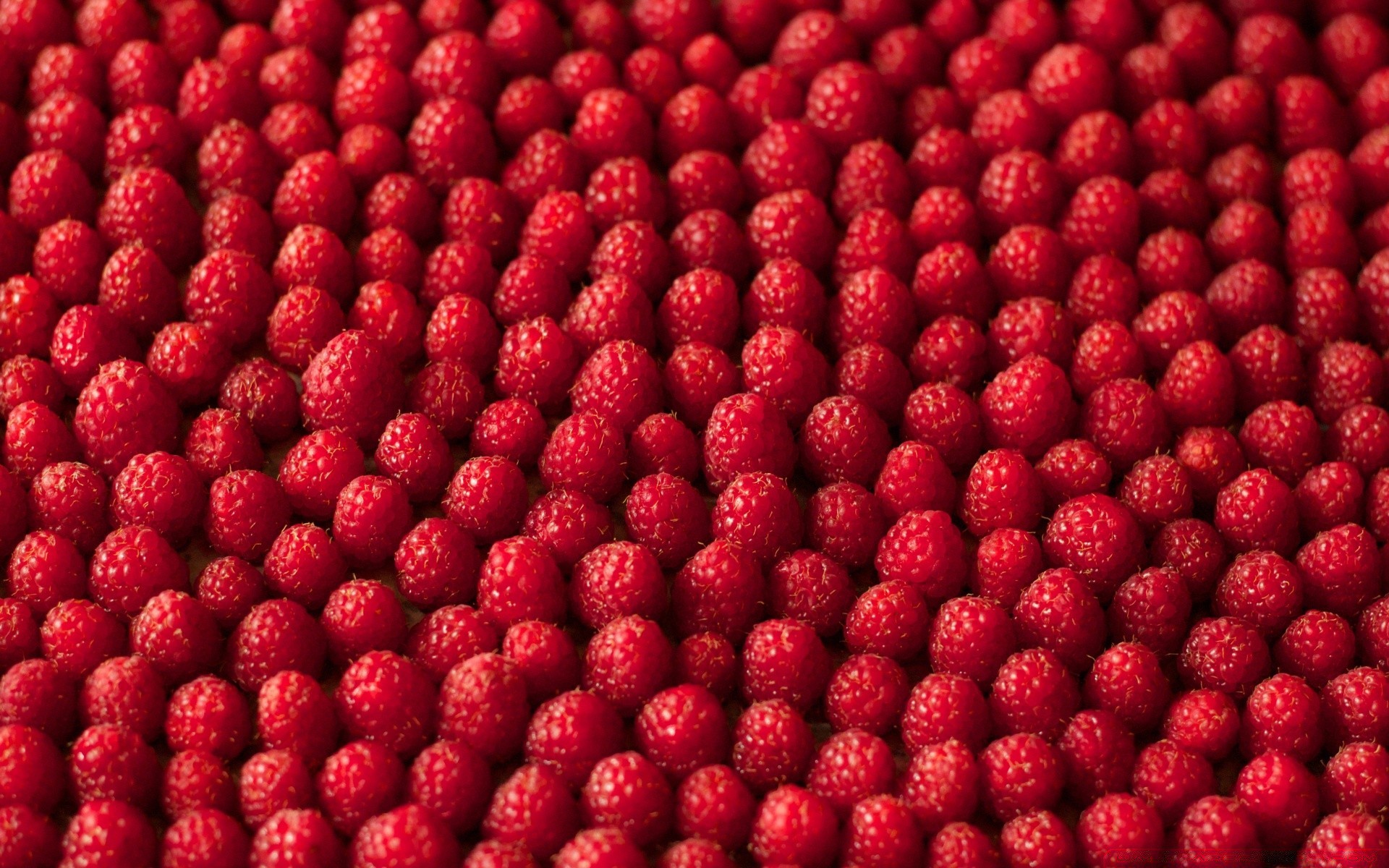 comida e bebida comida frutas baga saudável suculento framboesa doce refresco delicioso frescura desktop dieta pastelaria festa delicioso close-up crescer