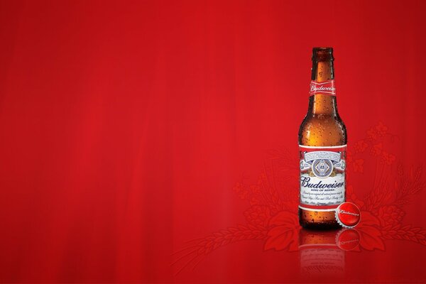 Cerveja Budweiser em fundo vermelho elegante