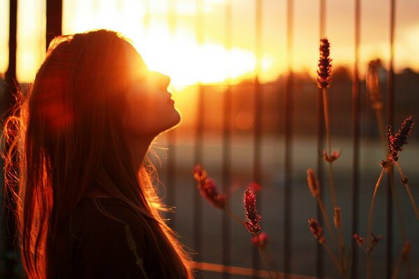 A menina ao pôr do sol está na grade