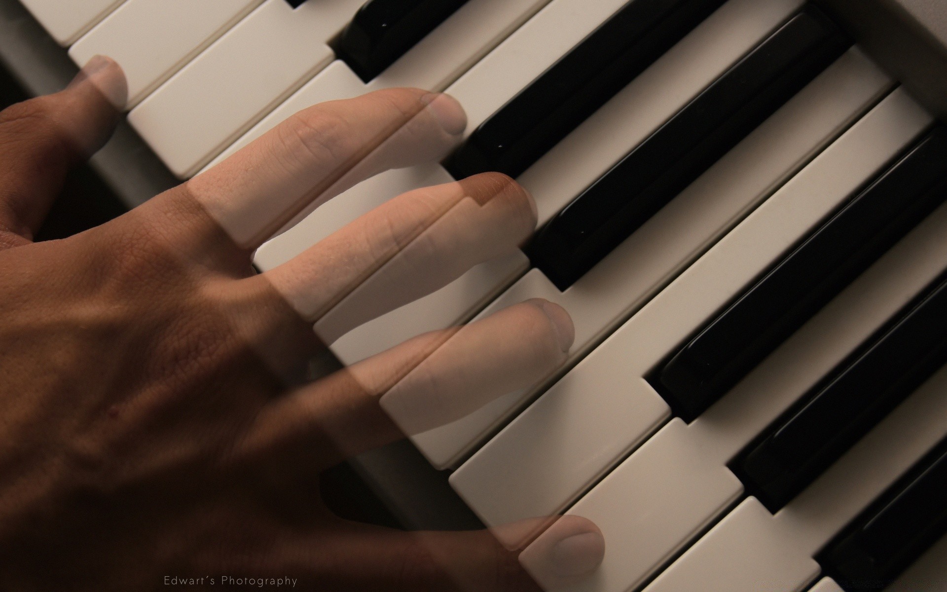 música piano ébano instrumento gato sintetizador chave som pianista acorde jazz harmonia teclado música ritmo músico acústico música clássica concerto composição musical