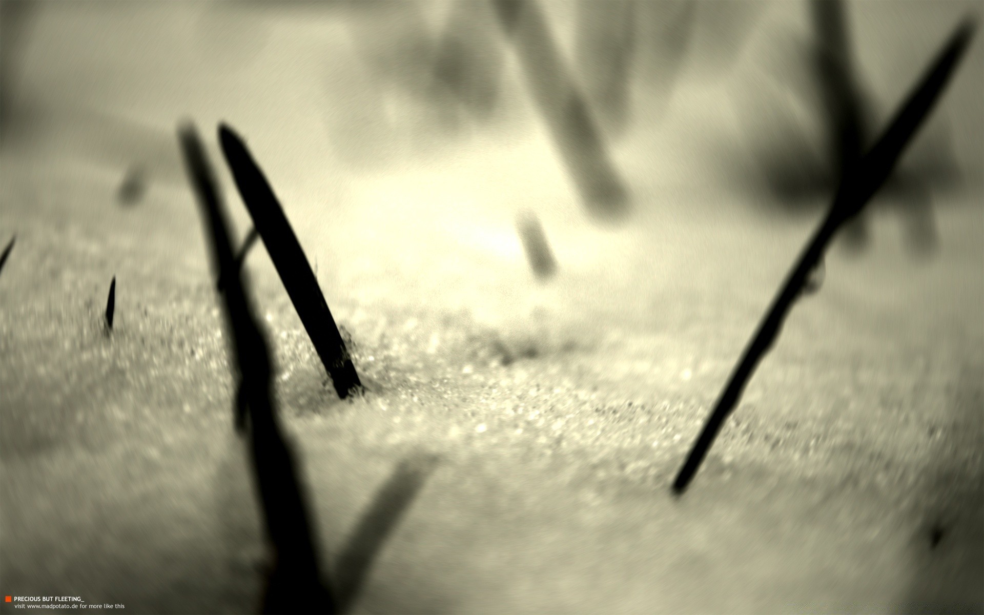 vintage borrão monocromático ainda vida neve sombra inverno dof tempo ao ar livre paisagem foco solteiro natureza luz preto e branco madeira