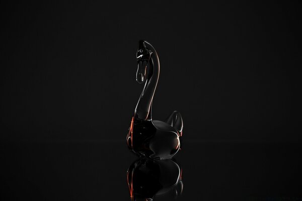 Cisne negro na área de trabalho escura