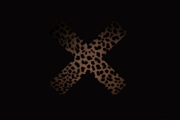 Cruz de leopardo na imagem preta