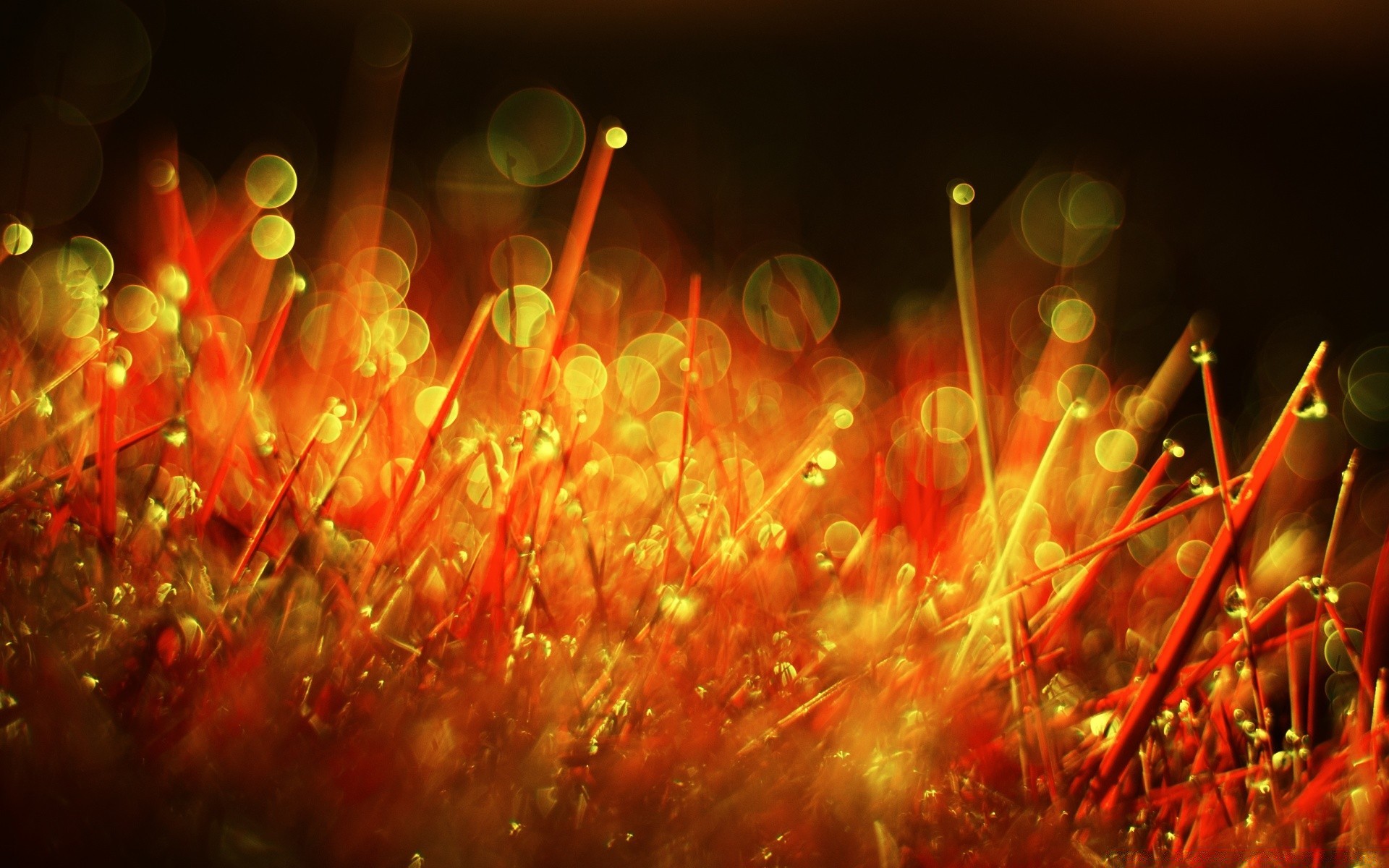 bokeh natal festa feriado cor brilhante abstrato borrão luz desktop luminescência chama calor