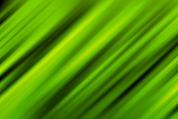 Grandes faixas verdes. Folha