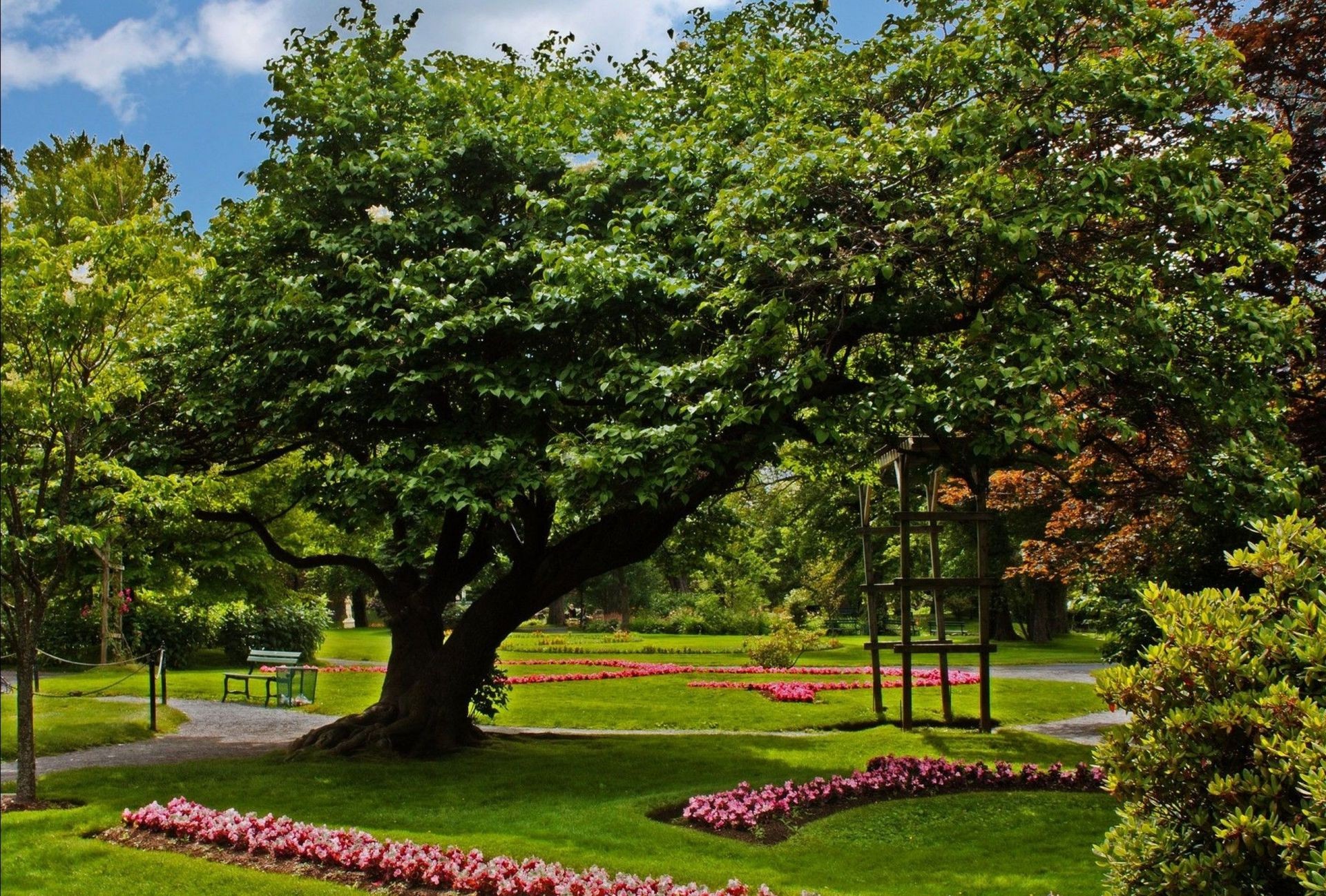 parques árvore jardim folha parque natureza paisagem grama ao ar livre gramado flor verão flora madeira banco temporada ambiente exuberante bom tempo cênica