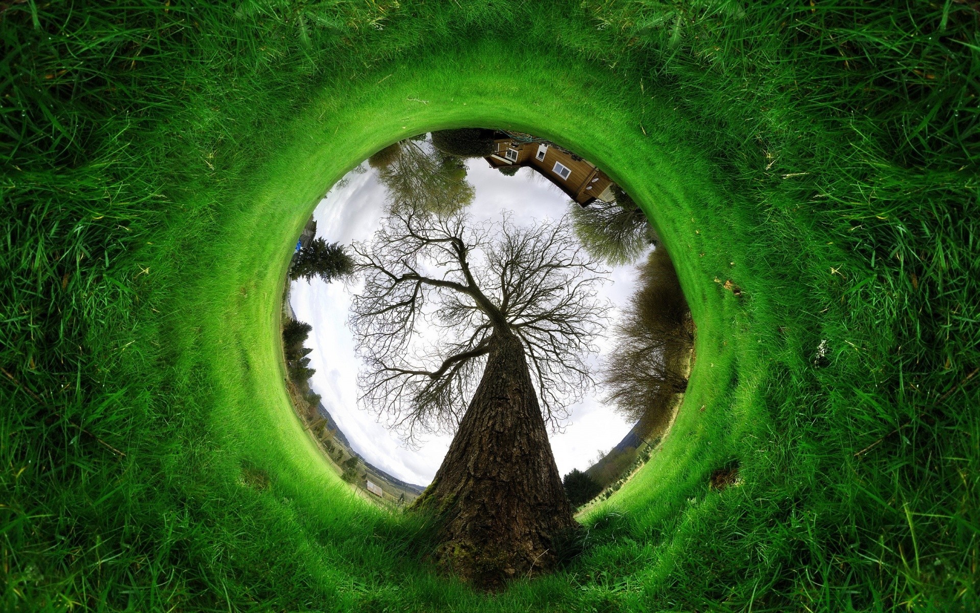criativo grama natureza meio ambiente gramado paisagem em forma de bola ecologia ao ar livre verão folha espetáculo campo parque feno flora solo