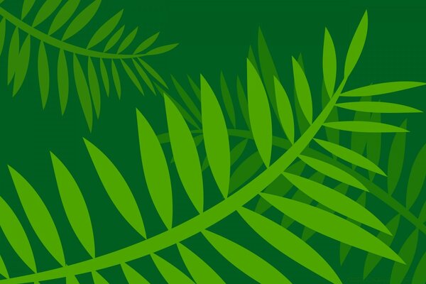 Folhas verdes em um fundo verde escuro, gráficos vetoriais