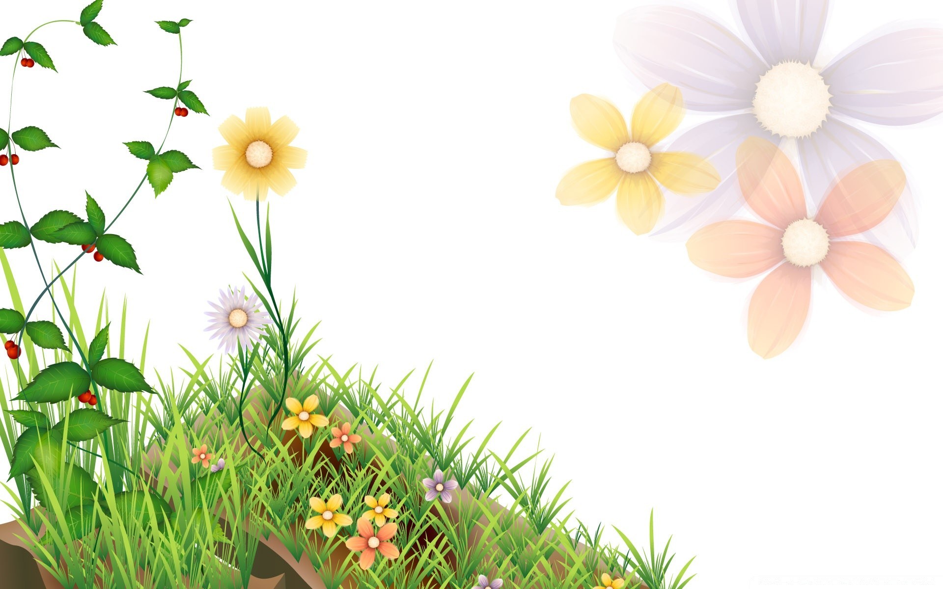 gráficos vetoriais flor natureza verão flora folha jardim floral pétala blooming grama cor brilhante desktop sol bonito crescimento bom tempo