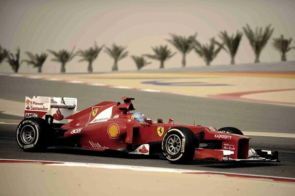 Alonso Alonso ferrari Bahrein