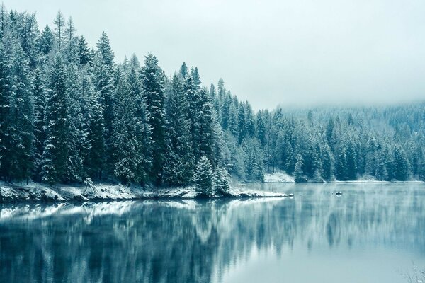 Árvores na neve e perto da Lagoa