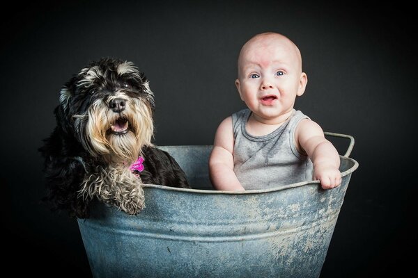 Amigos inseparáveis, bebê e cachorro