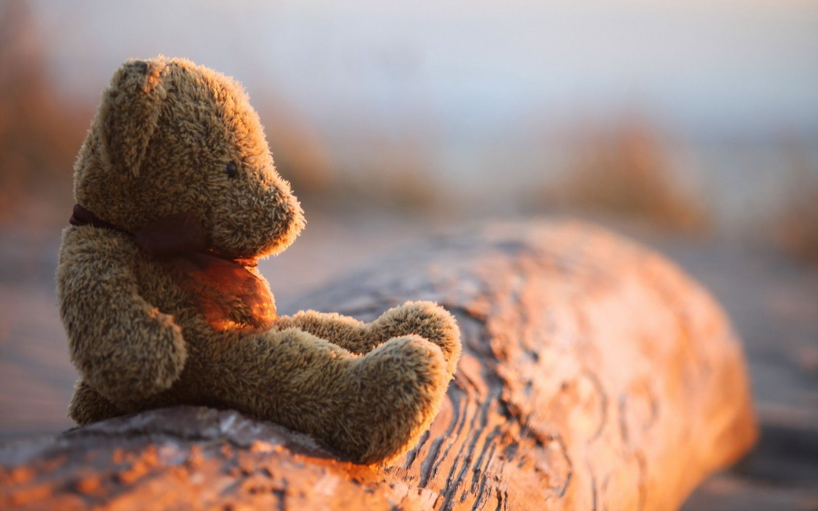 natureza ao ar livre comida